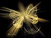 Retrato de Butterfly Orquidea